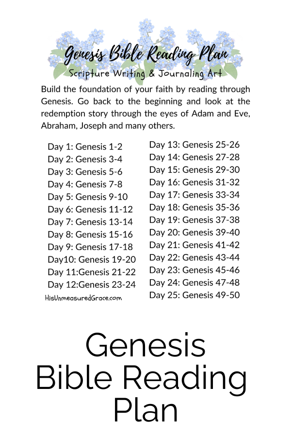 Build the foundation of your faith by reading through Genesis using the Genesis Bible Reading Plan. Go back to the beginning and look at the redemption story through the eyes of Adam and Eve, Abraham, Joseph, and many others.