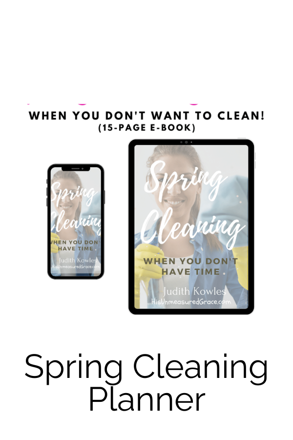 When you don't have time to clean, the Spring Cleaning Planner is the easy way to get the job done!